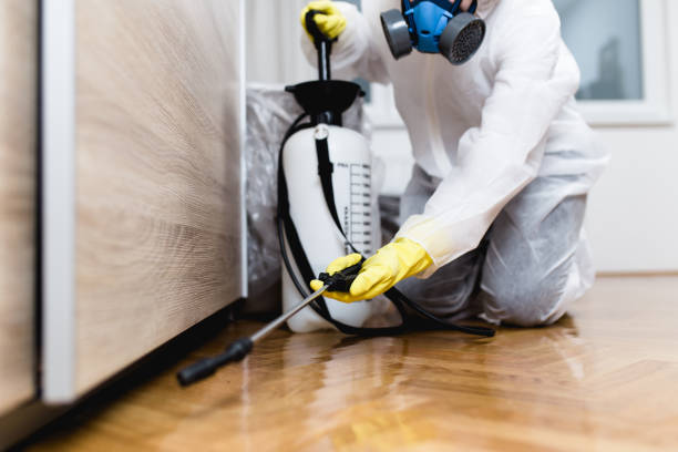 Best Cockroach Control Services  in Hale Center, TX