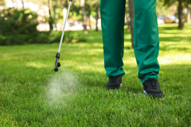 Best Bed Bug Extermination  in Hale Center, TX