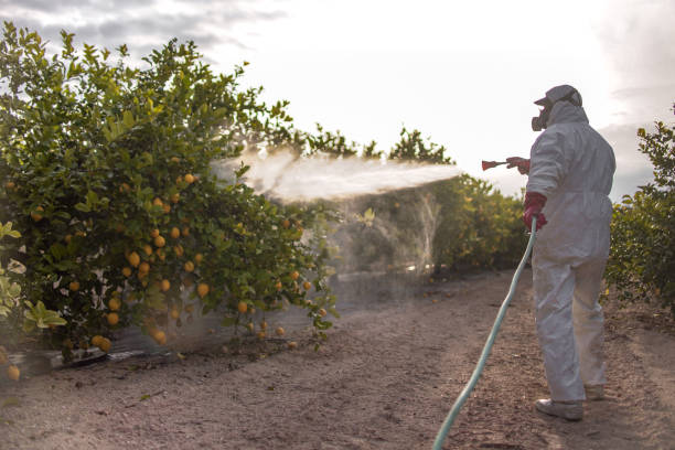 Pest Control for Restaurants in Hale Center, TX