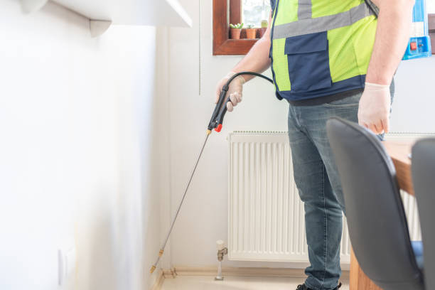Best Ant Control Services  in Hale Center, TX