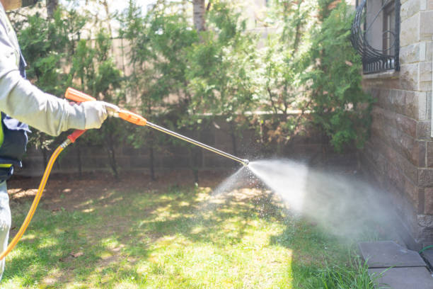 Reliable Hale Center, TX Pest Control Solutions