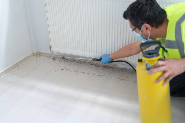 Best Best Pest Control Companies  in Hale Center, TX