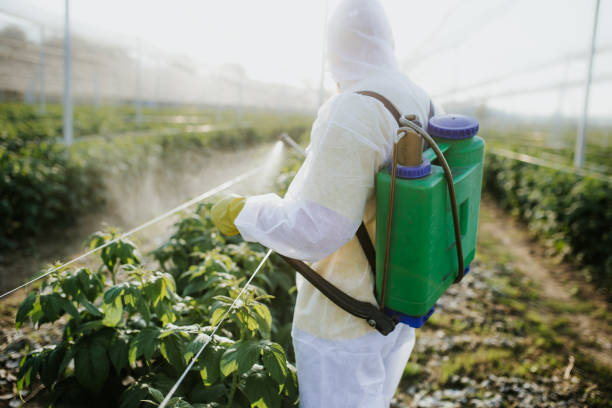 Best Pest Removal Services  in Hale Center, TX